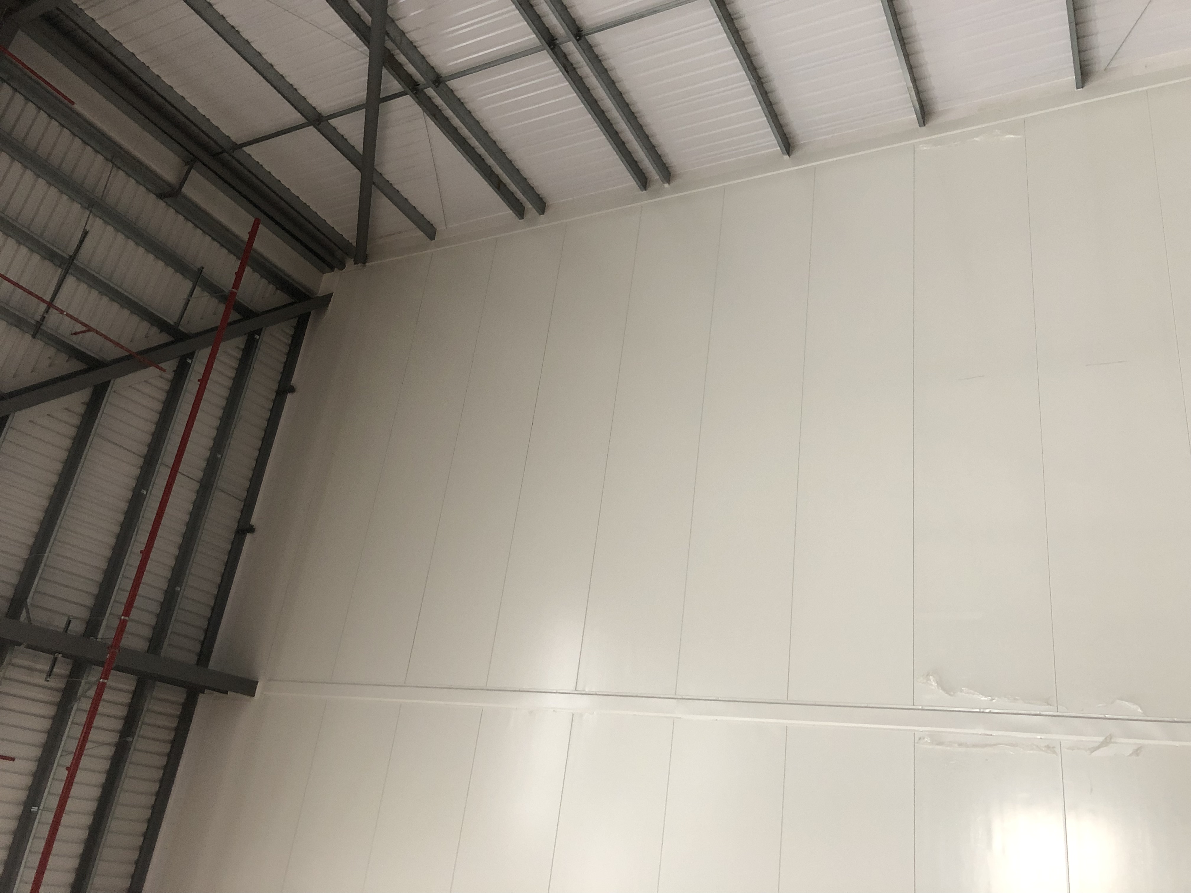 Fire-rated insulated panel wall with steel framing